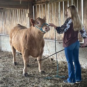 Meet your Posher, Bailey